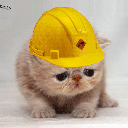 cute and sad kitty wearing construction hat while html tags fall and bump hard hat